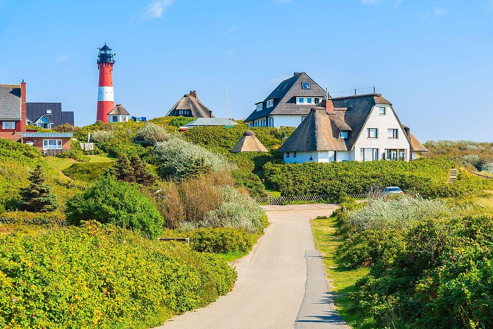 Haus mit Leuchtturm in mitten von Hagebutten