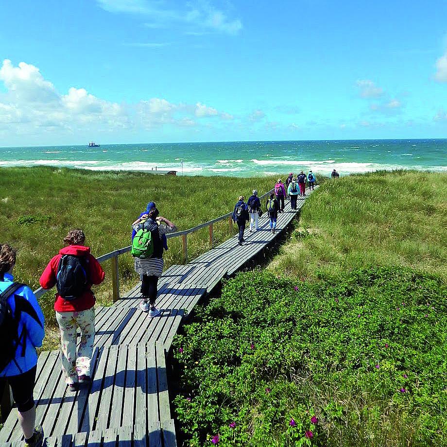 Hikers on a boardwalk