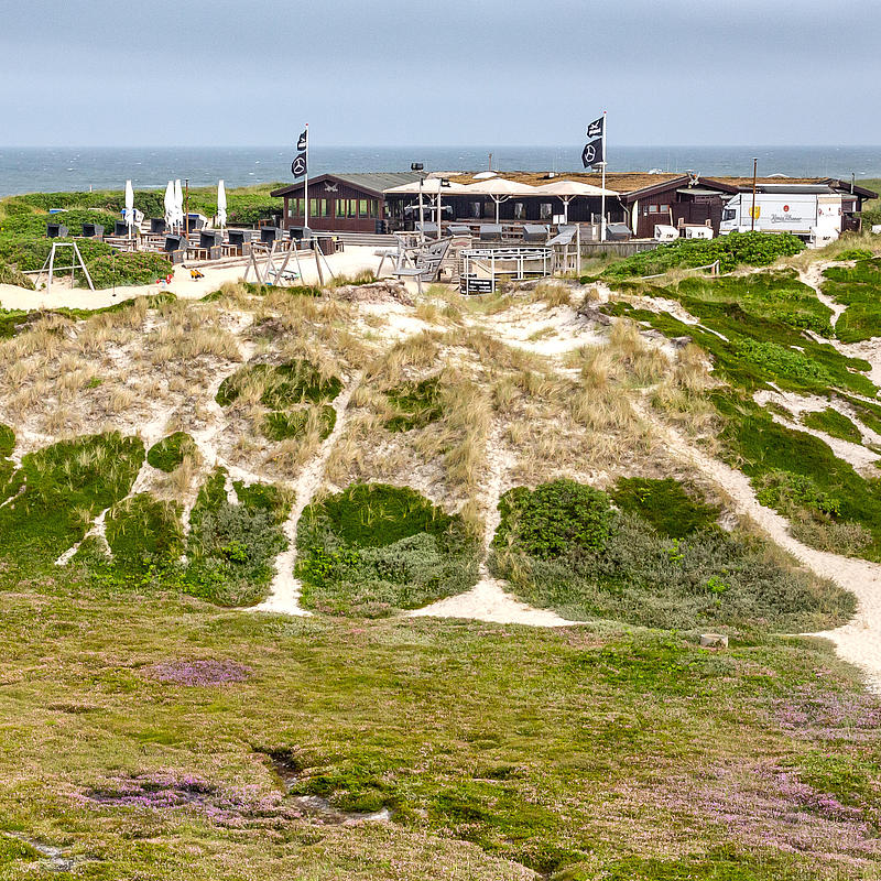 Typical food on Sylt: 7 culinary to-dos on Sylt | Sylt in the belly: 7 ...